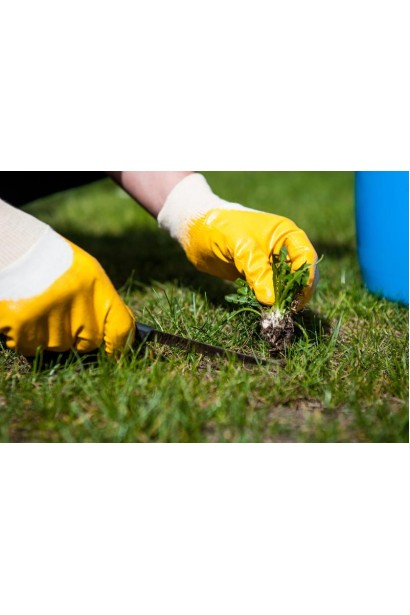 Гербіцид для газону Дефолт